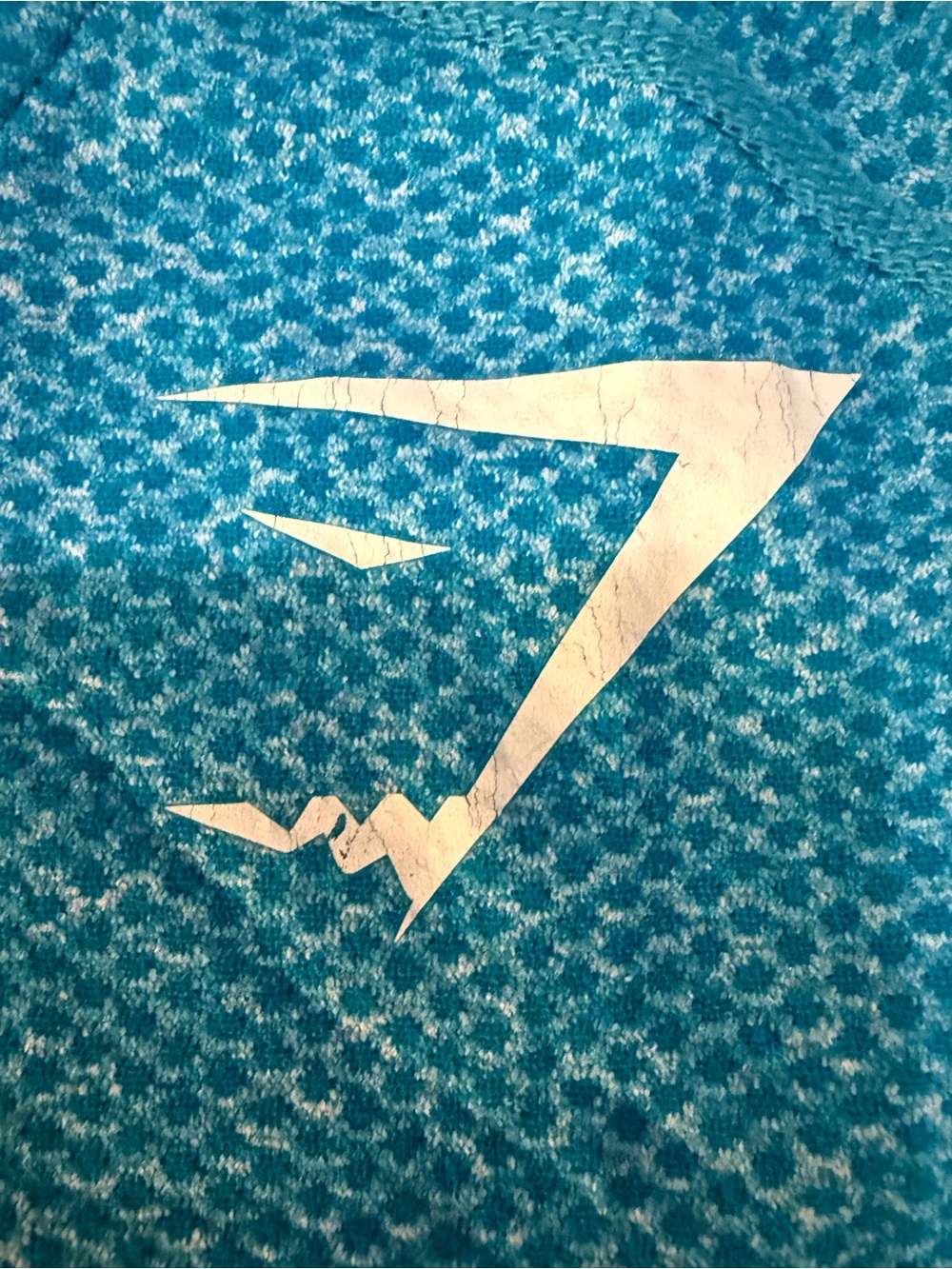 Gymshark Og Phantom Seamless T- Shirt David Laid Size… - Gem